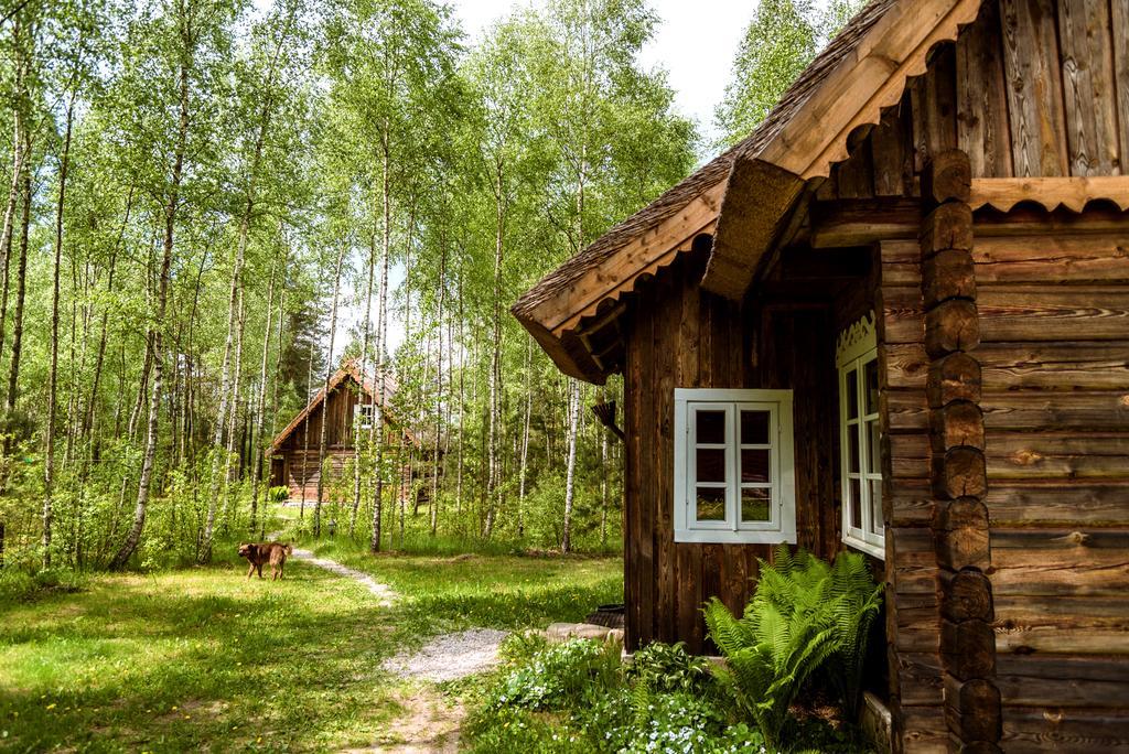 Vabalyne Hostal Vilkiskes Exterior foto